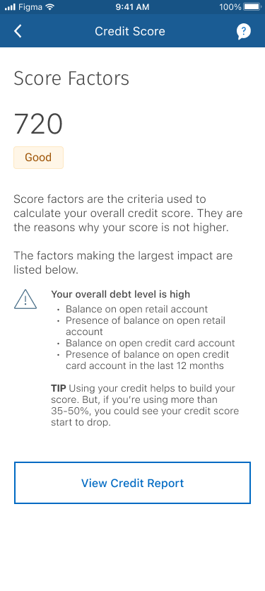 Where You Stand, Score Factors and Credit Report screens