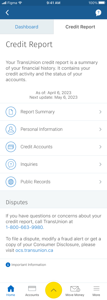 Where You Stand, Score Factors and Credit Report screens